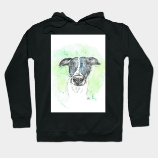 Black and white lurcher dog portrait. Hoodie